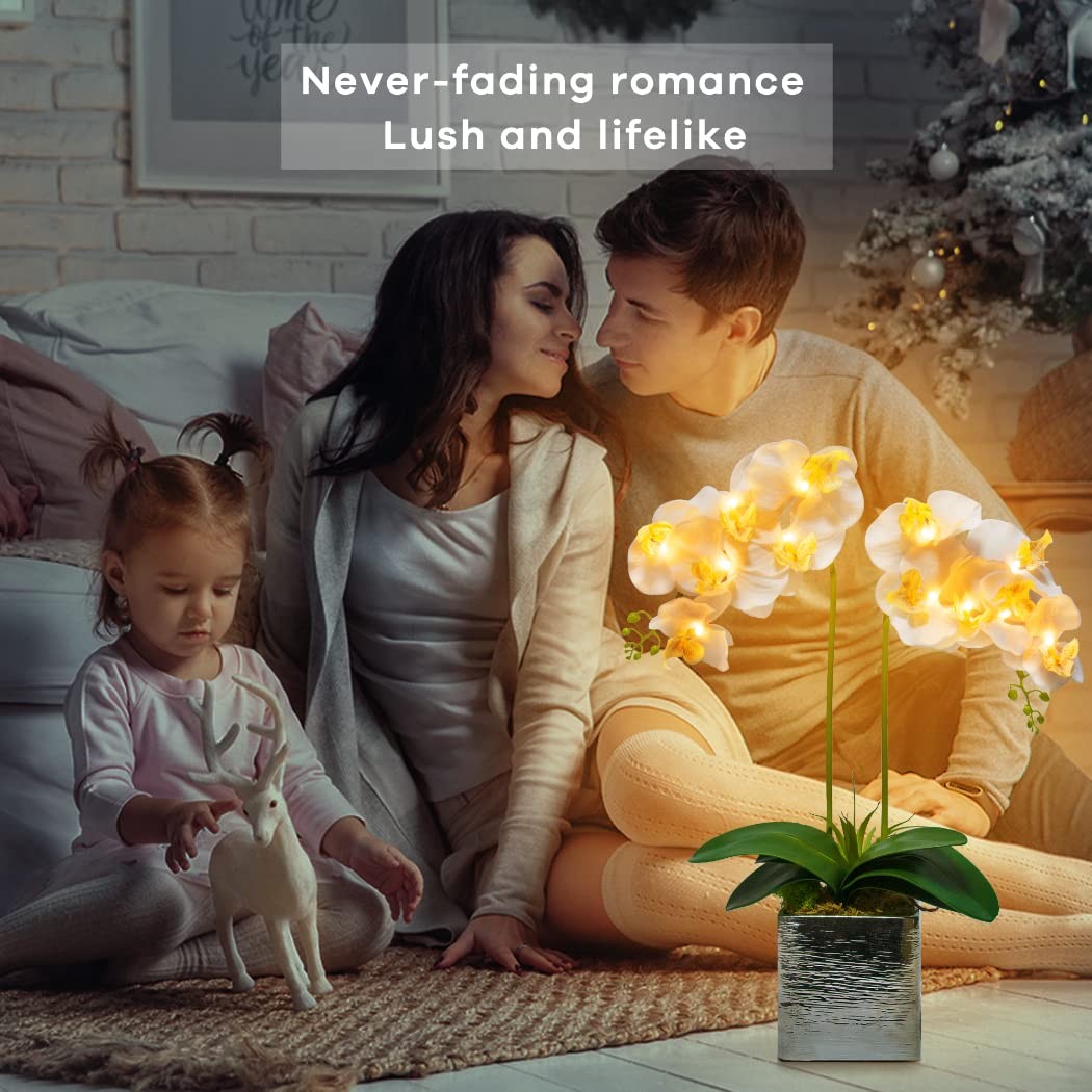 HOMESEASONS Orchid Lamp-LED Lighted Orchid Arrangements,Pre Lit Artificial Or…