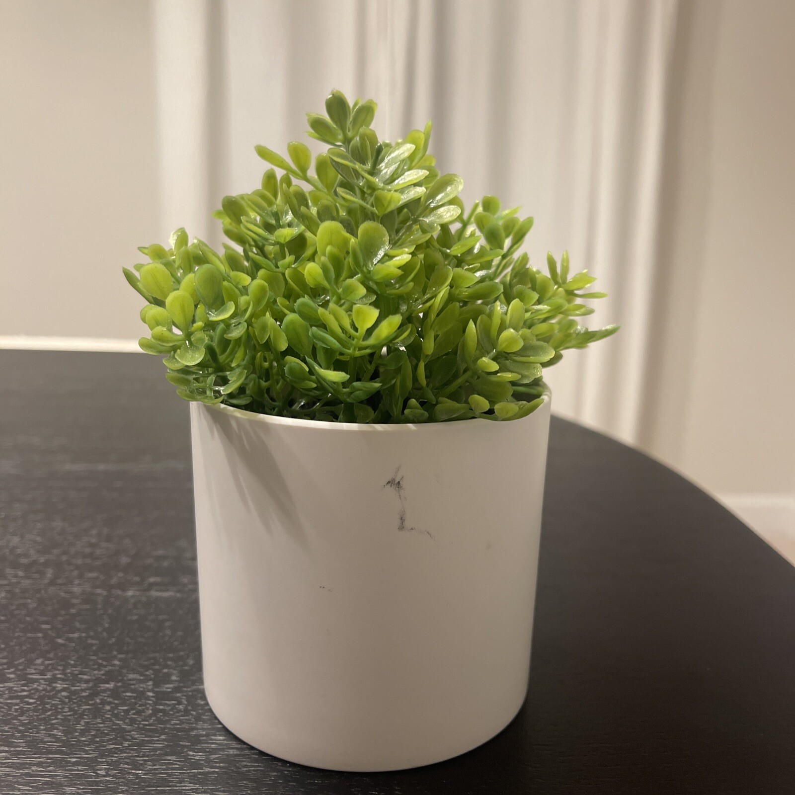 Threshold Potted Faux Boxwood Plant 5” NEW