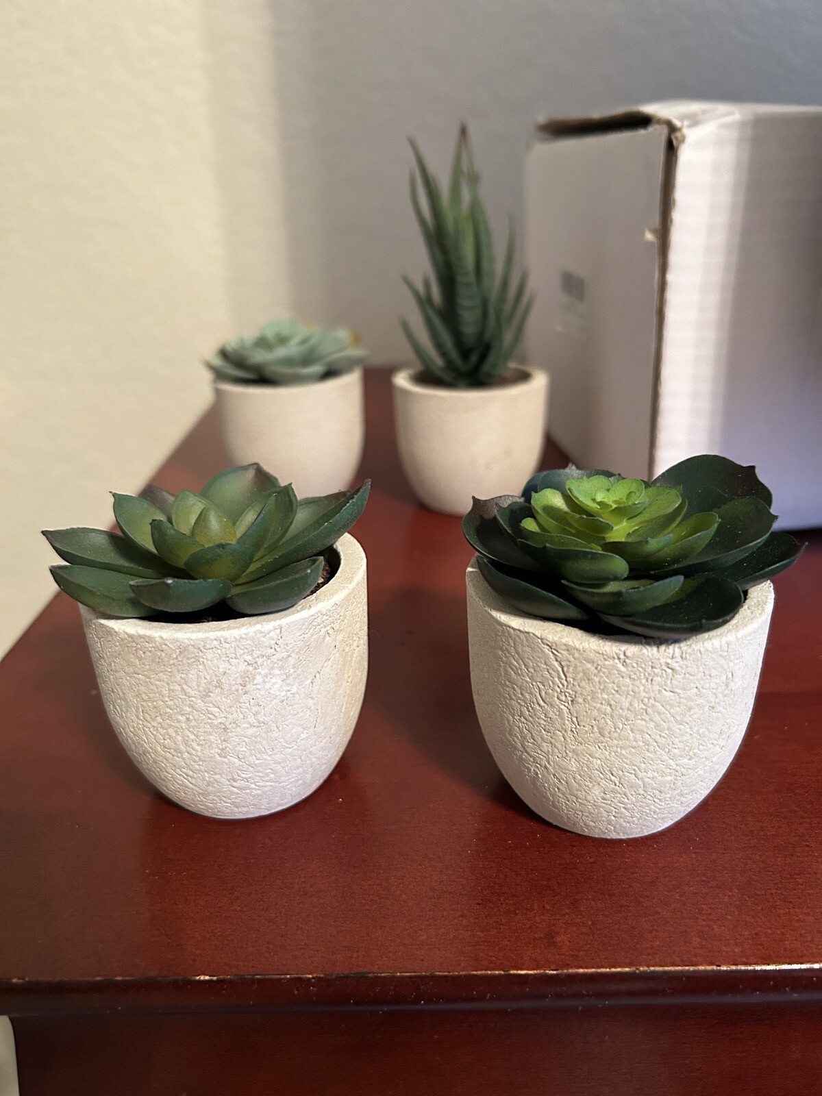 Artificial Succulents with Gray Pots – Set of 5 – New in Box