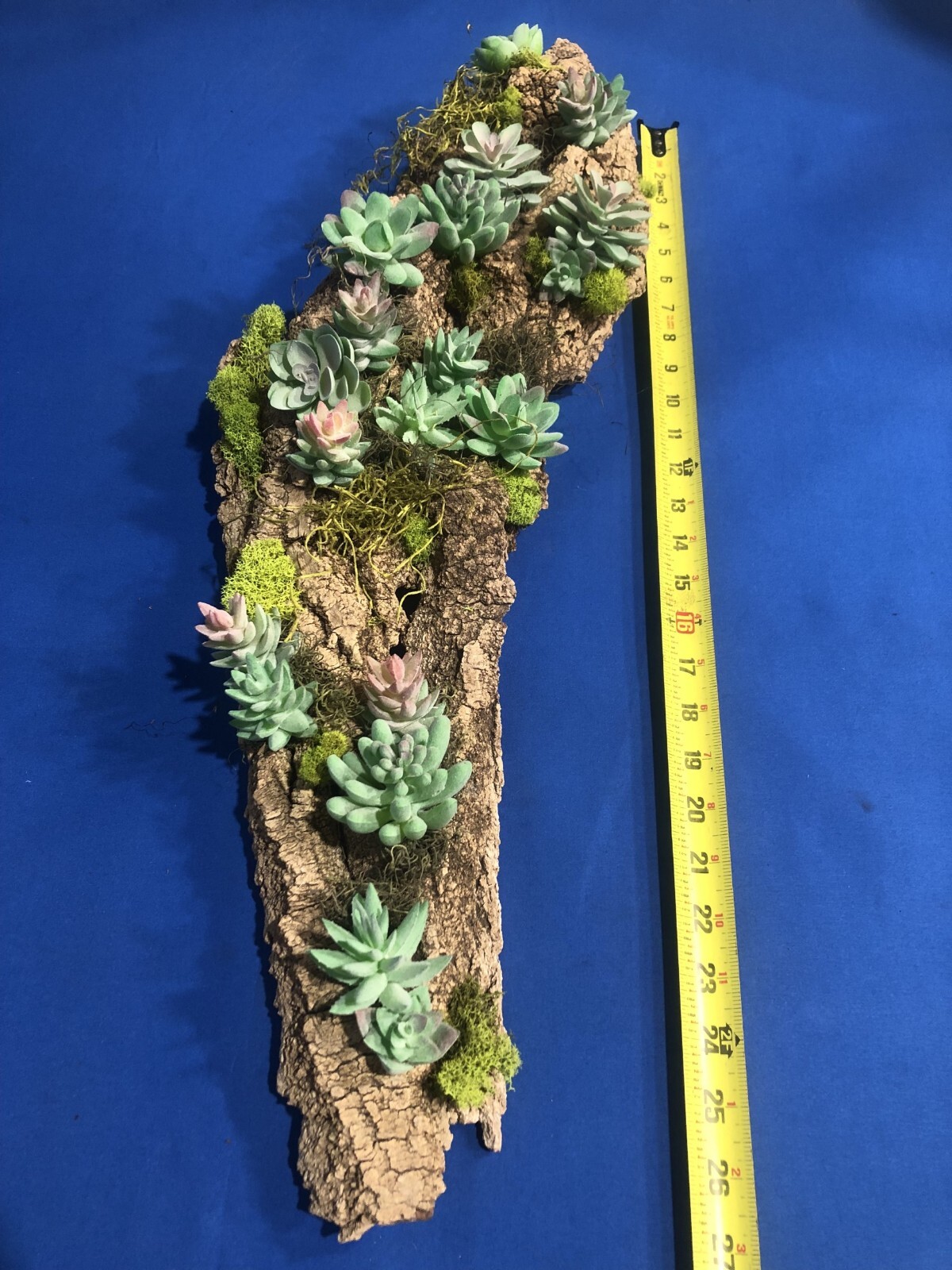 Artificial Succulent Air Plant Wall Art Home Office Mounted on Real Wood Bark