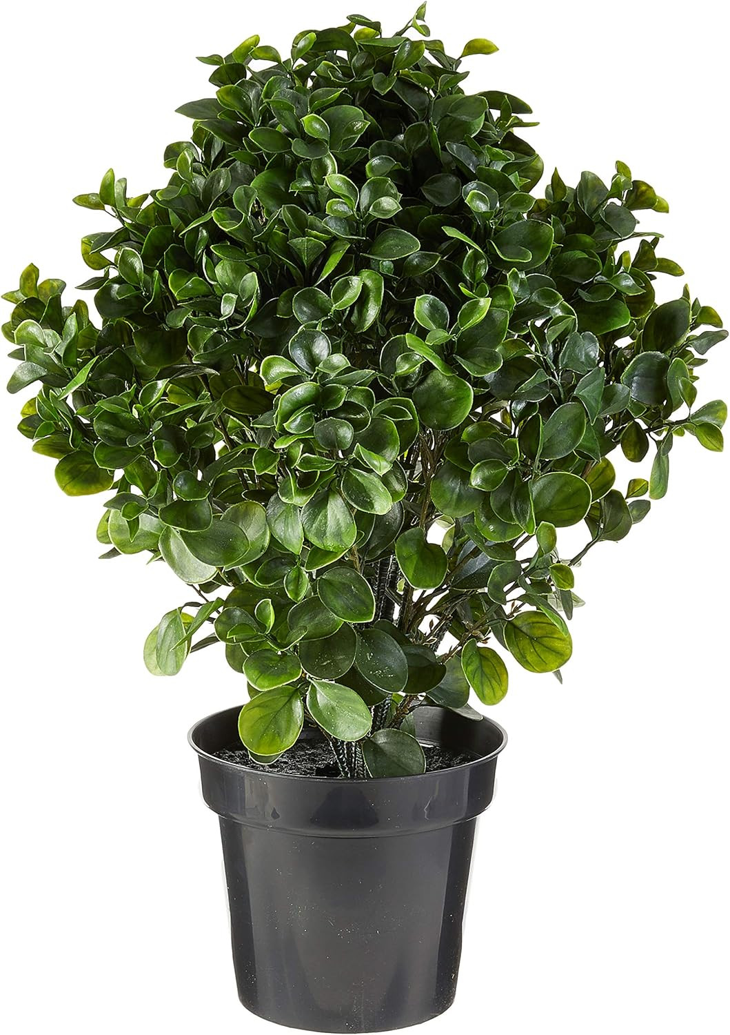 28″ UV Resistant Peperomia Plant for Indoor/Outdoor Decor