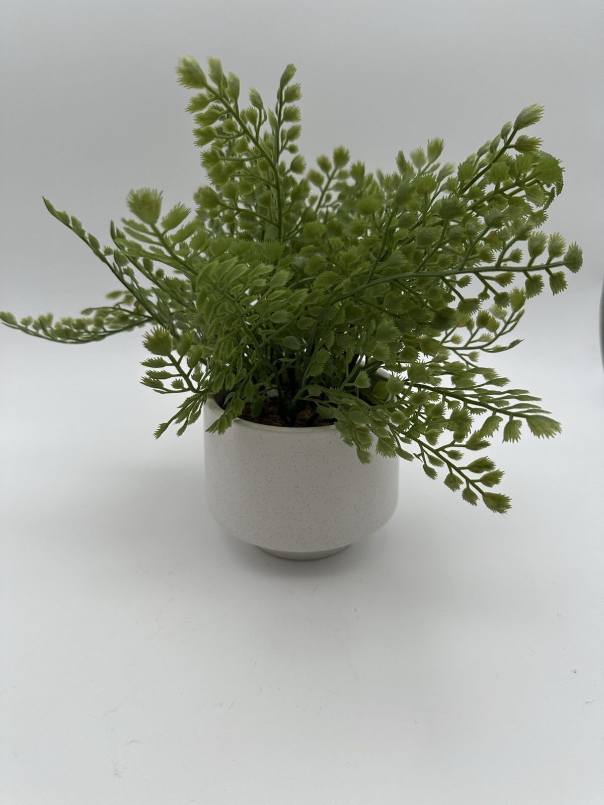Threshold Faux Fern Artificial Plant – 10 In Decorative Plant And Base New!