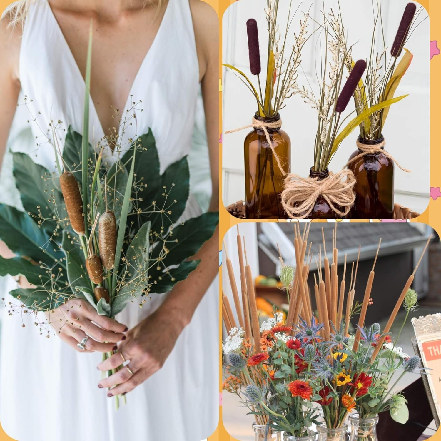 Dried Natural Brown Cattails Flowers – 20PCS Real Broadleaf Pencil Cattail Stems