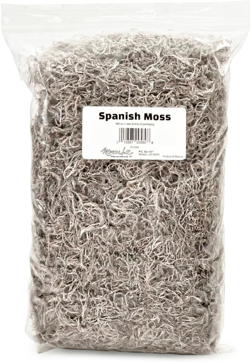 Rustic & Organic Spanish Moss for Houseplants, Crafts & Floral Arrangements