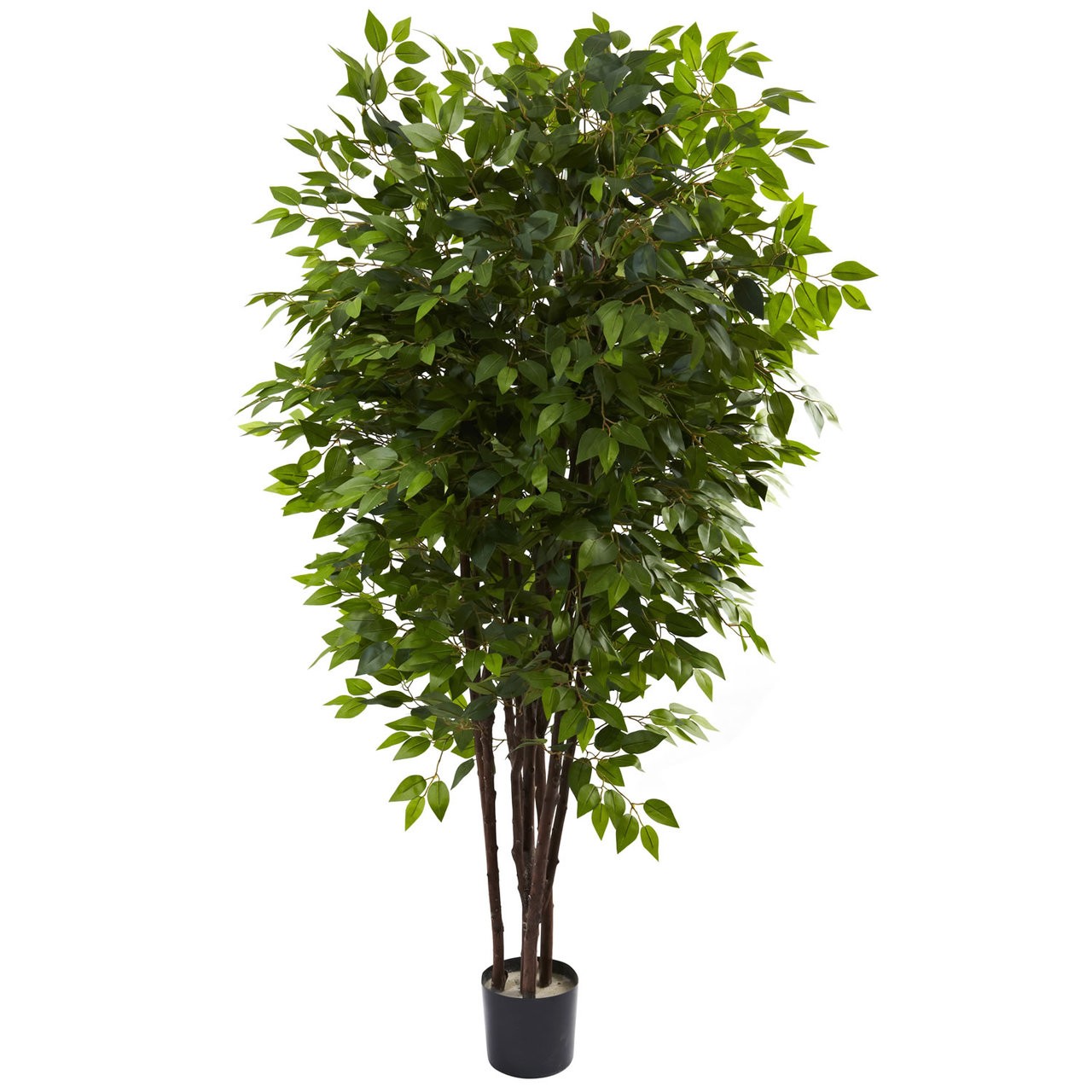 6.5 Deluxe Silk Ficus Tree