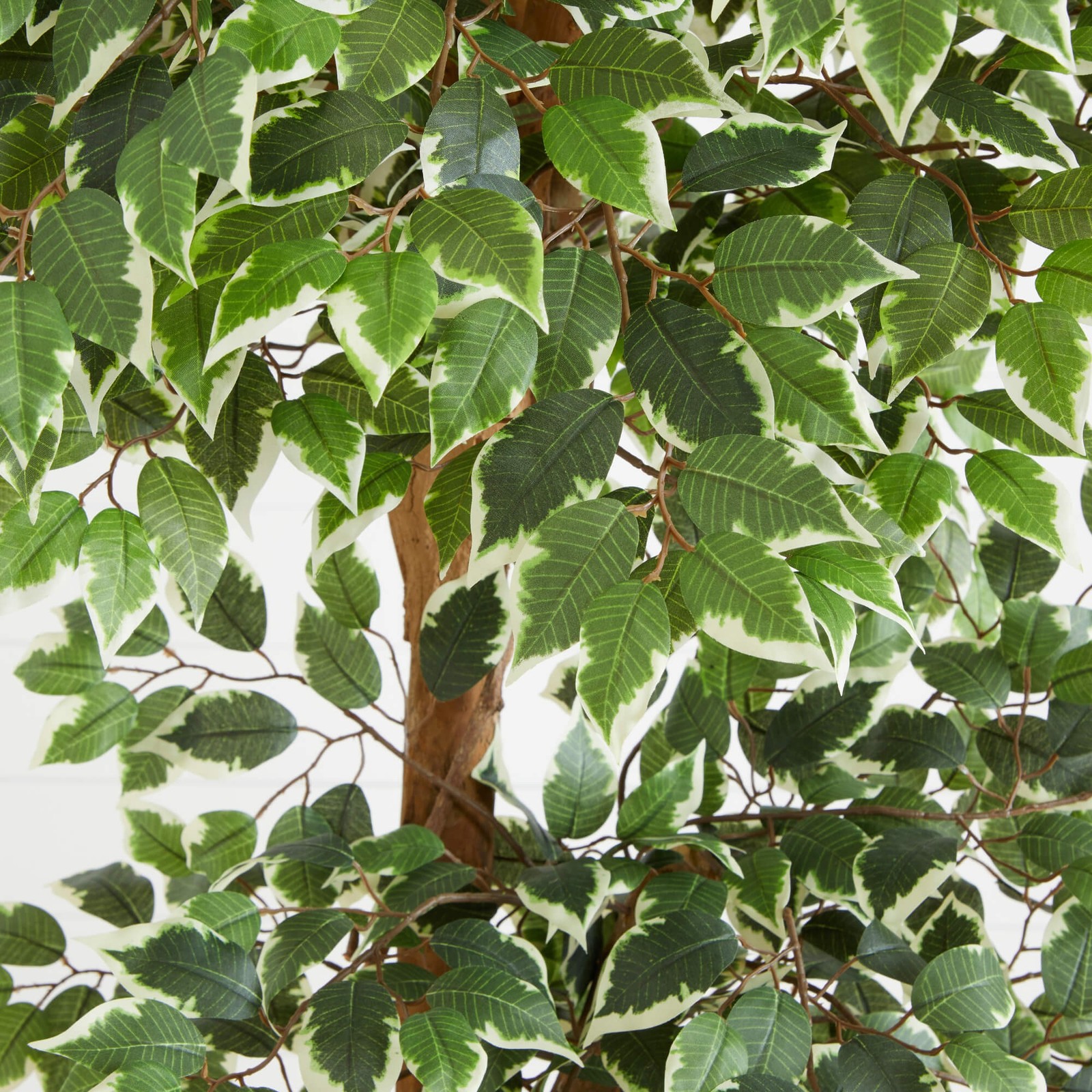 Nearly Natural 72″ Variegated Ficus Tree with 1944 Silk Leaves in Green/Black
