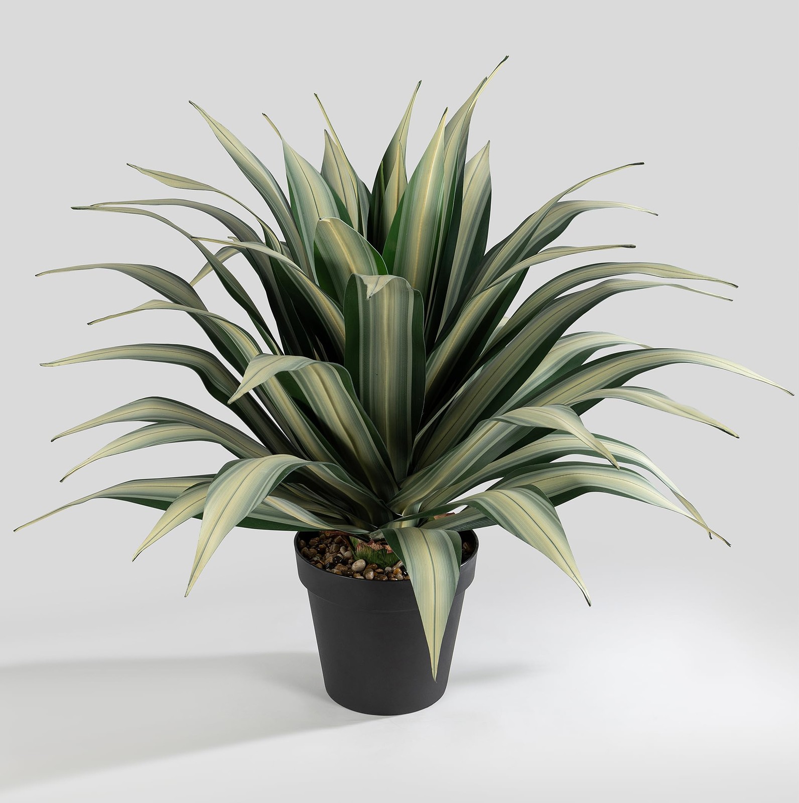 Life-Like Extra Large 34 Inch Tall Artificial Agave Plant. Cream Leaves with …