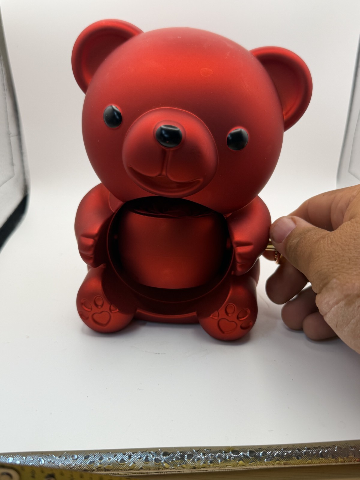 Real Preserved Rose Teddy Bear with Jewelry Compartment