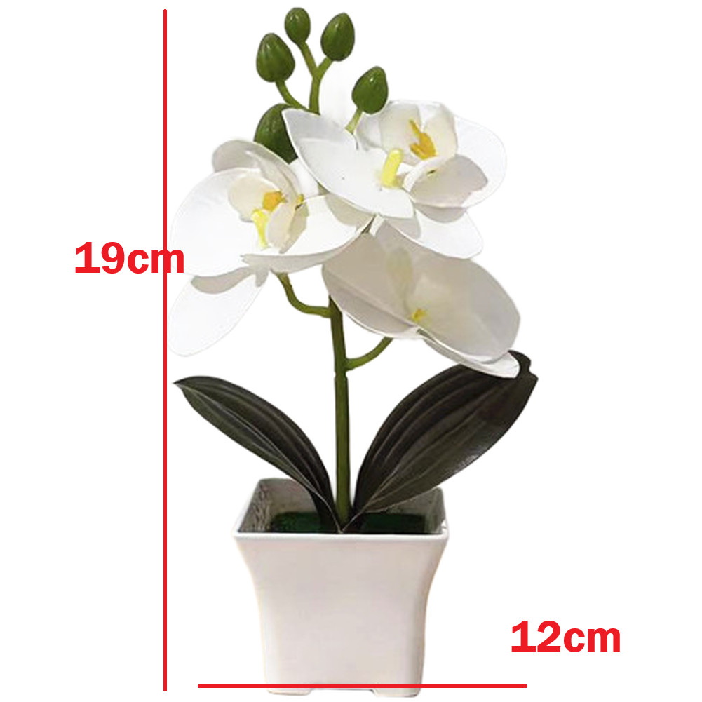 Compact Artificial Phalaenopsis Orchid Arrangement 19cm Tall Shelf Table Decor