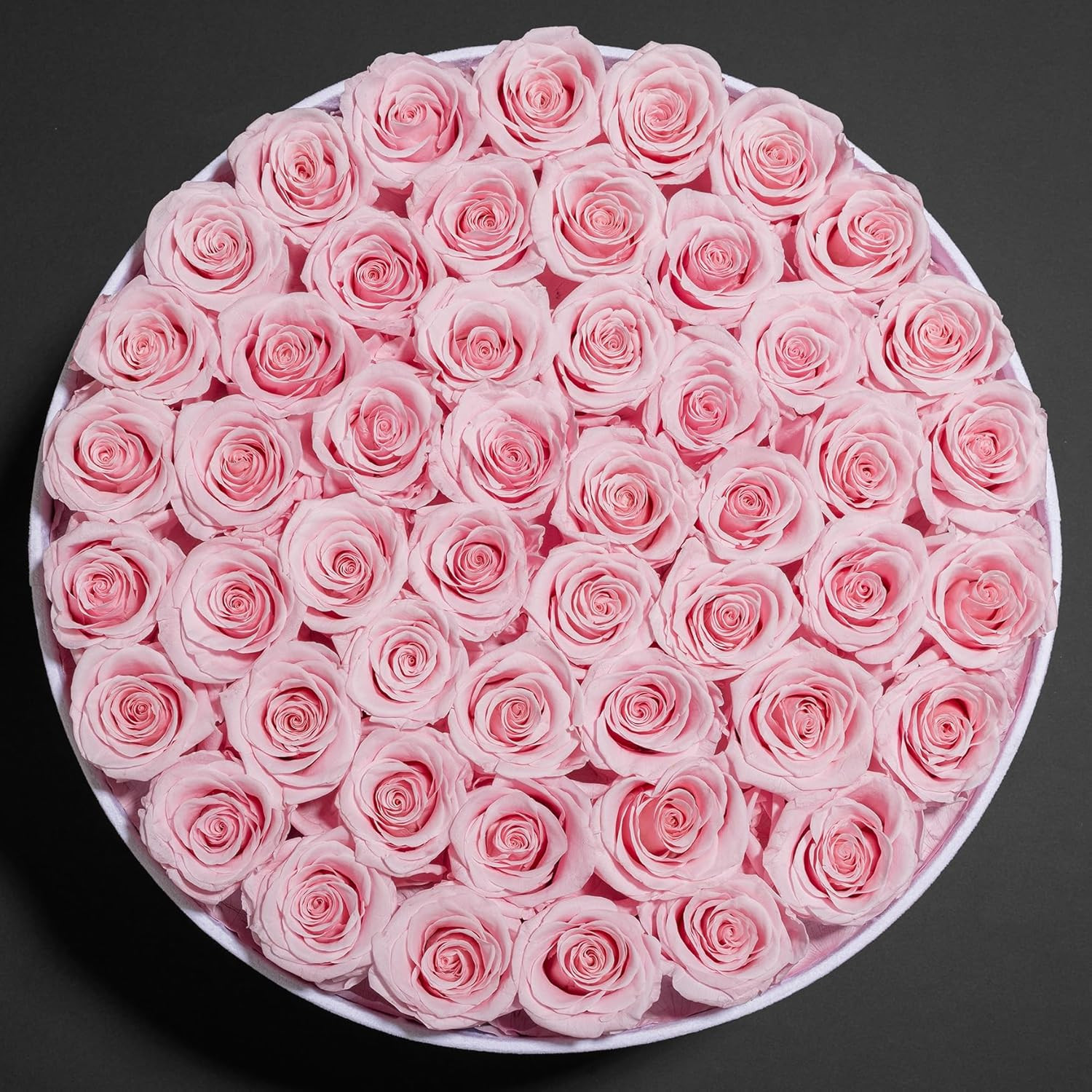 50 Piece Roses in a Velvet Box, Flowers for Delivery, Presereved Flowers Birthda
