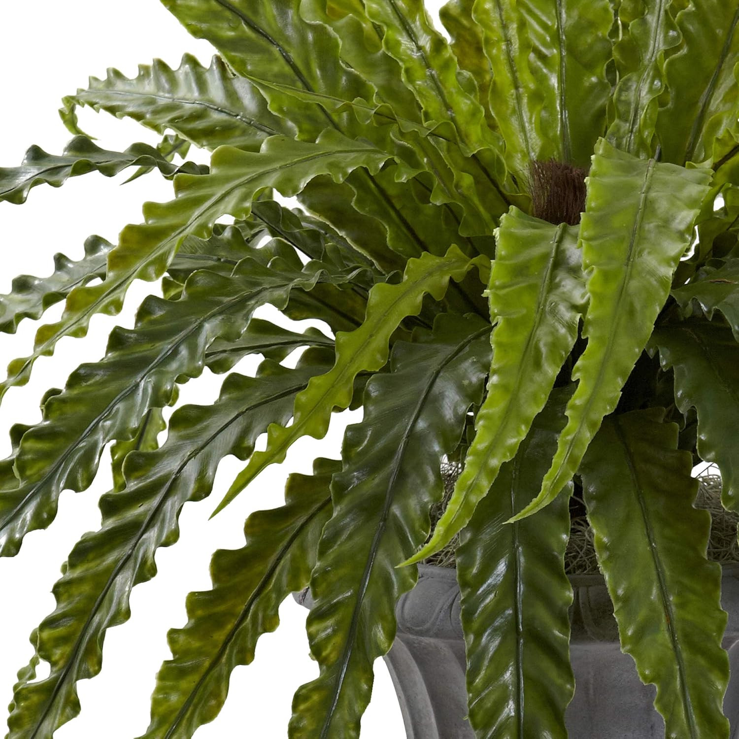 30″ Birds Nest Fern Artificial Plant in Elegant Urn –