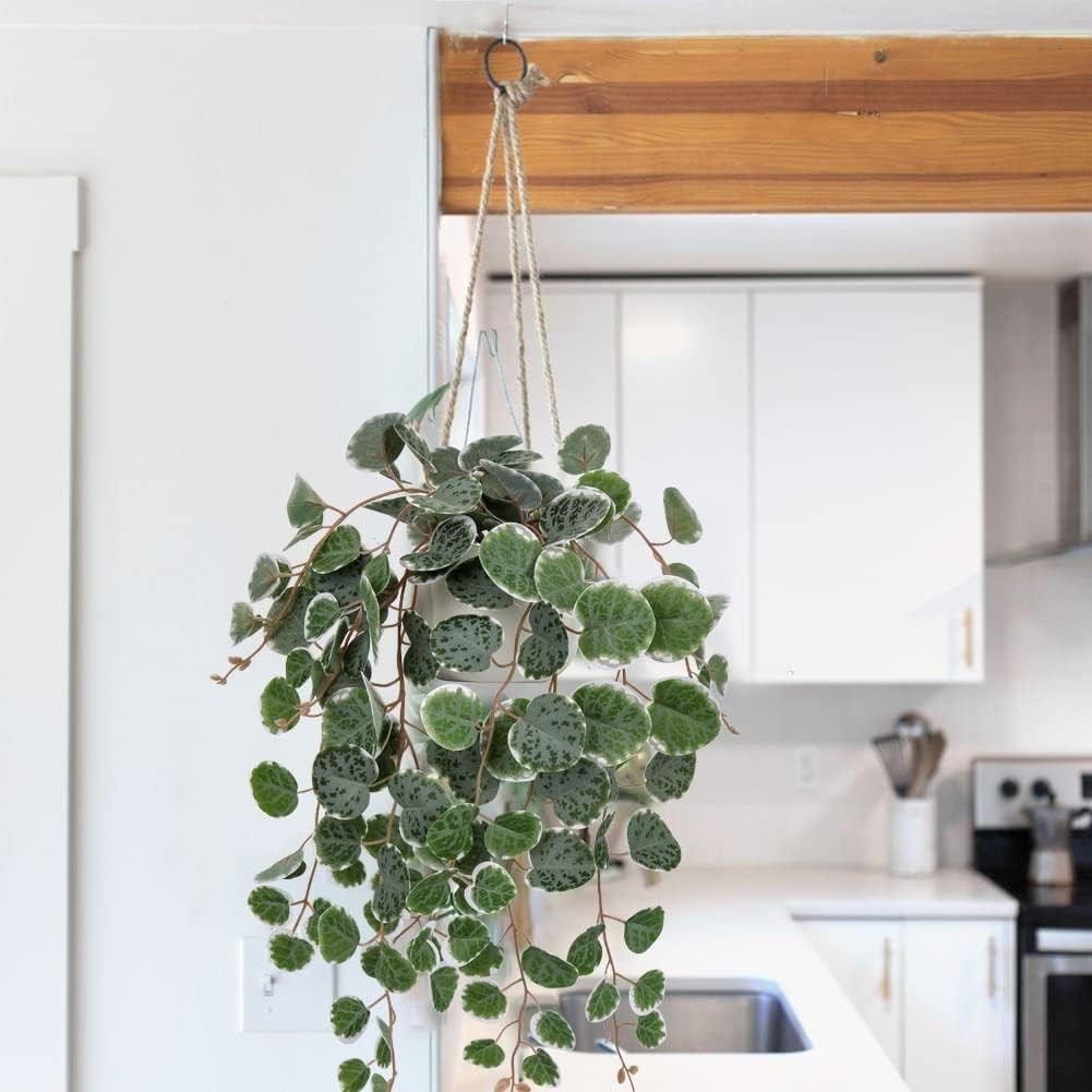 17″ Artificial String of Hearts Plant in White Ceramic Pot | faux trailing pl…