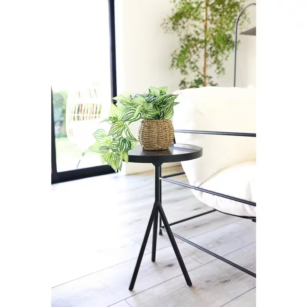 6 In. Brown Artificial Trailing Ivy in Basket