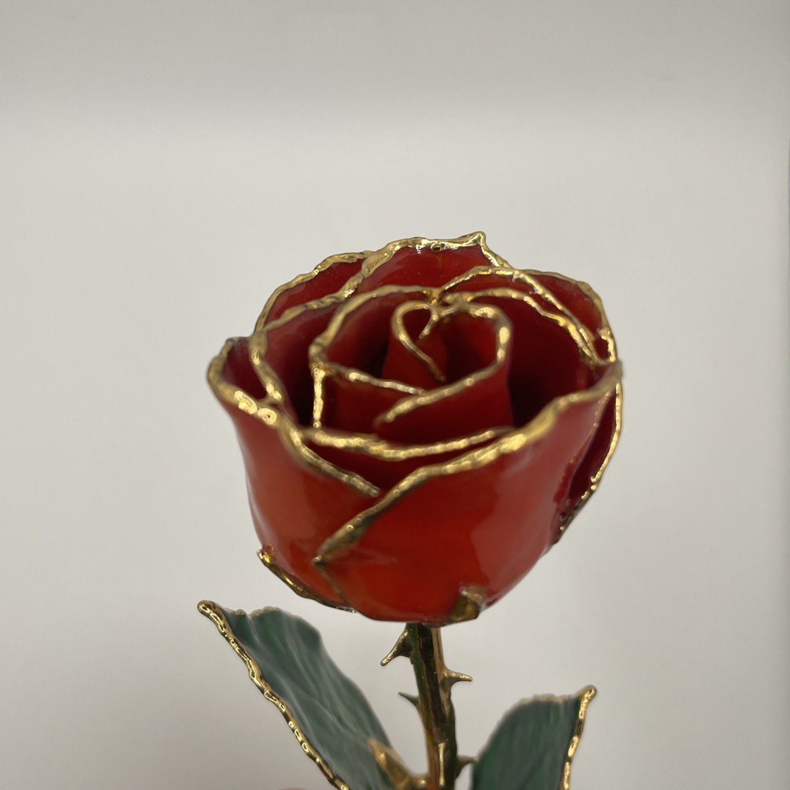 Genuine Real Rose Trimmed In 24 Kt. Gold Long Stem Rose Red Rose Green Leaves