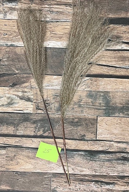 Natural Dried Pampas Grass ~ Boho ~ Home Decor ~ Wedding ~ 70 pcs