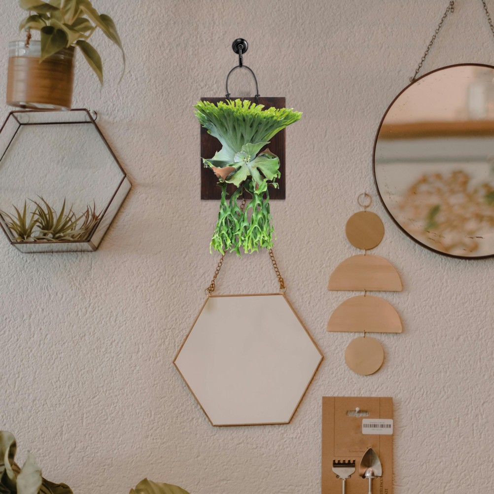 Fern Mount Kit: Decorative Wood Panel for –