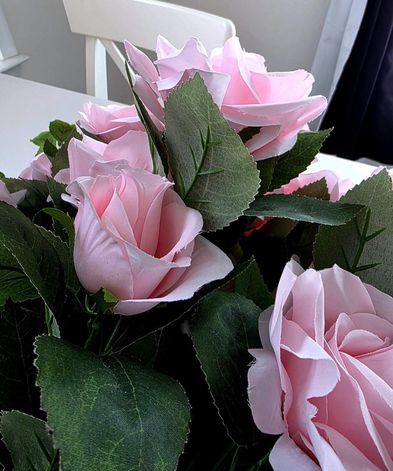 Ashland Rose Bush *Preowned, Gorgeous*