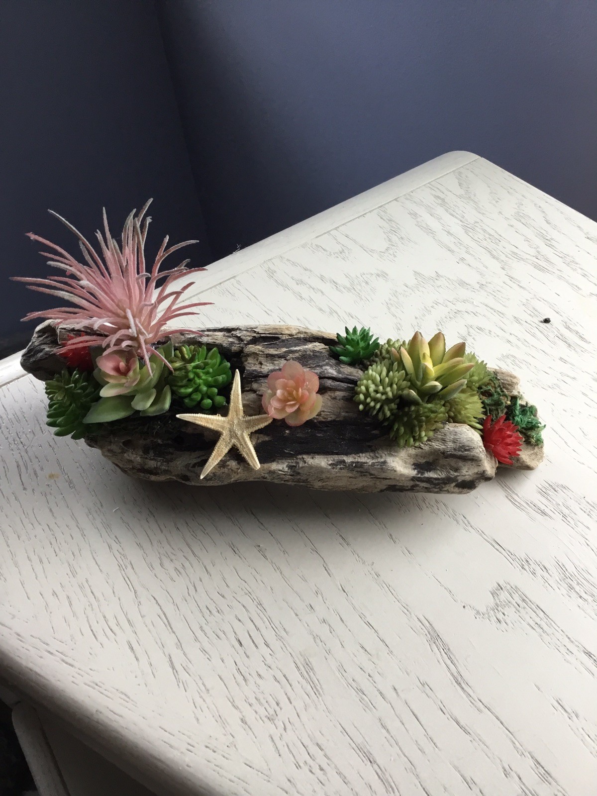 DRIFTWOOD FAUX SUCCULENT CENTREPIECE 2 ARRANGEMENTS – 8 & 10 Inches Long x 3Wide