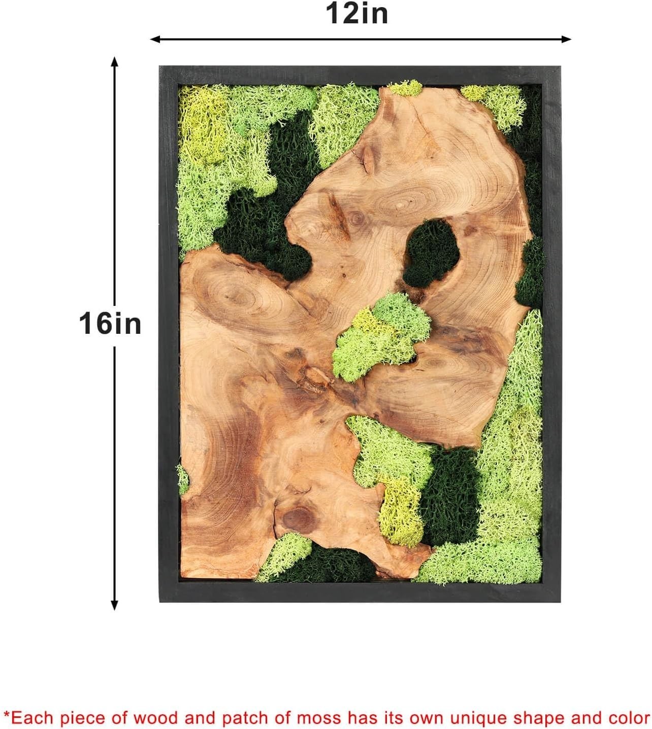 Rustic Natural Moss Wall Art – Handcrafted Decor for Any Room, No Maintenance