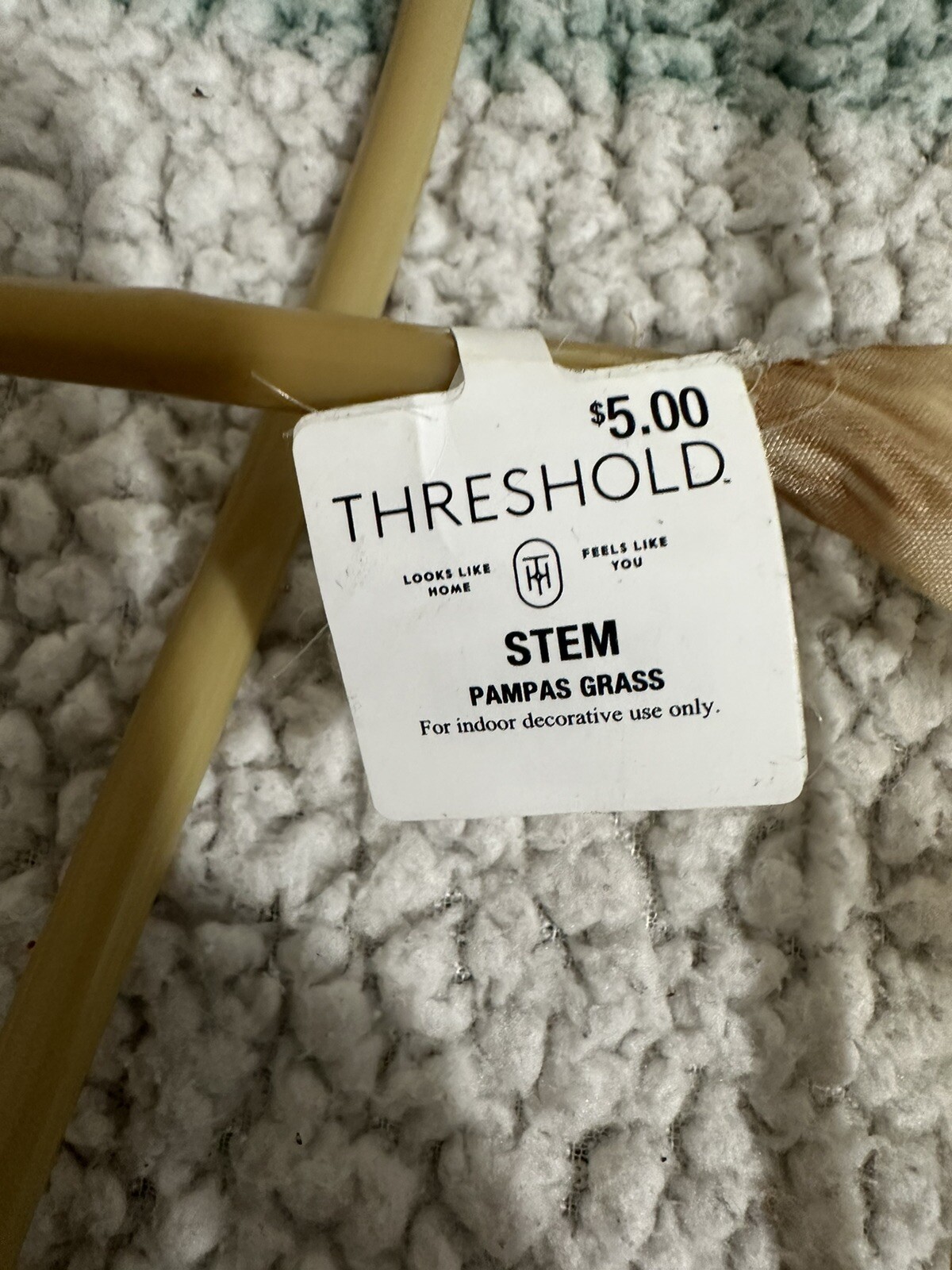STEM PAMPAS GRASS For indoor decorative use Lot Of 4