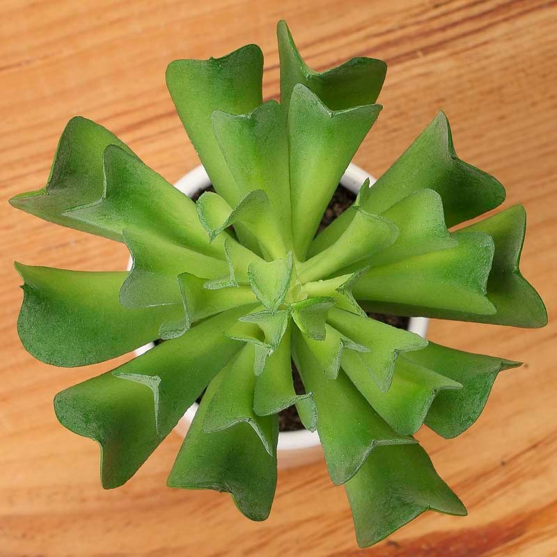 Package of 2 Artificial Indoor/Outdoor Succulent 6-1/2″ Picks