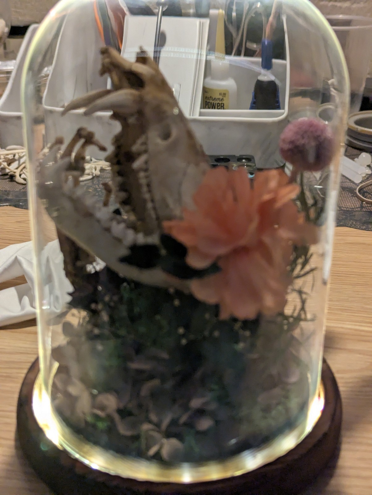 Decorative Glass Dome with Animal Skull and Floral Arrangement