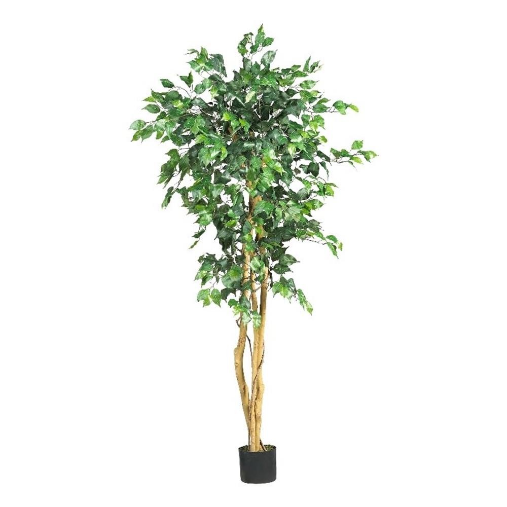 Pemberly Row 60″ Ficus Tree with Natural Wood Trunks in Green/Black