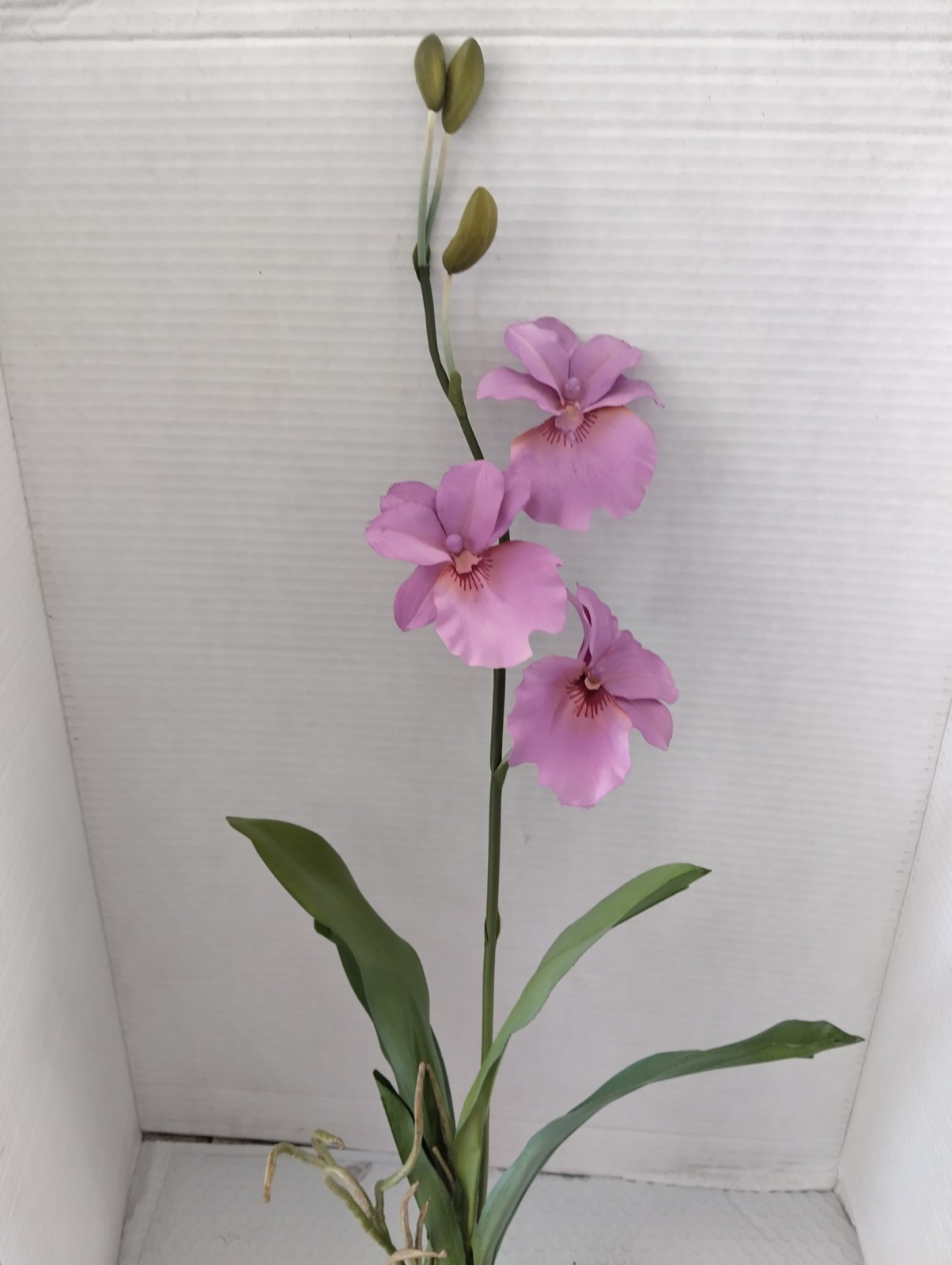 ARTIFICIAL miltoniopsis orchid plant