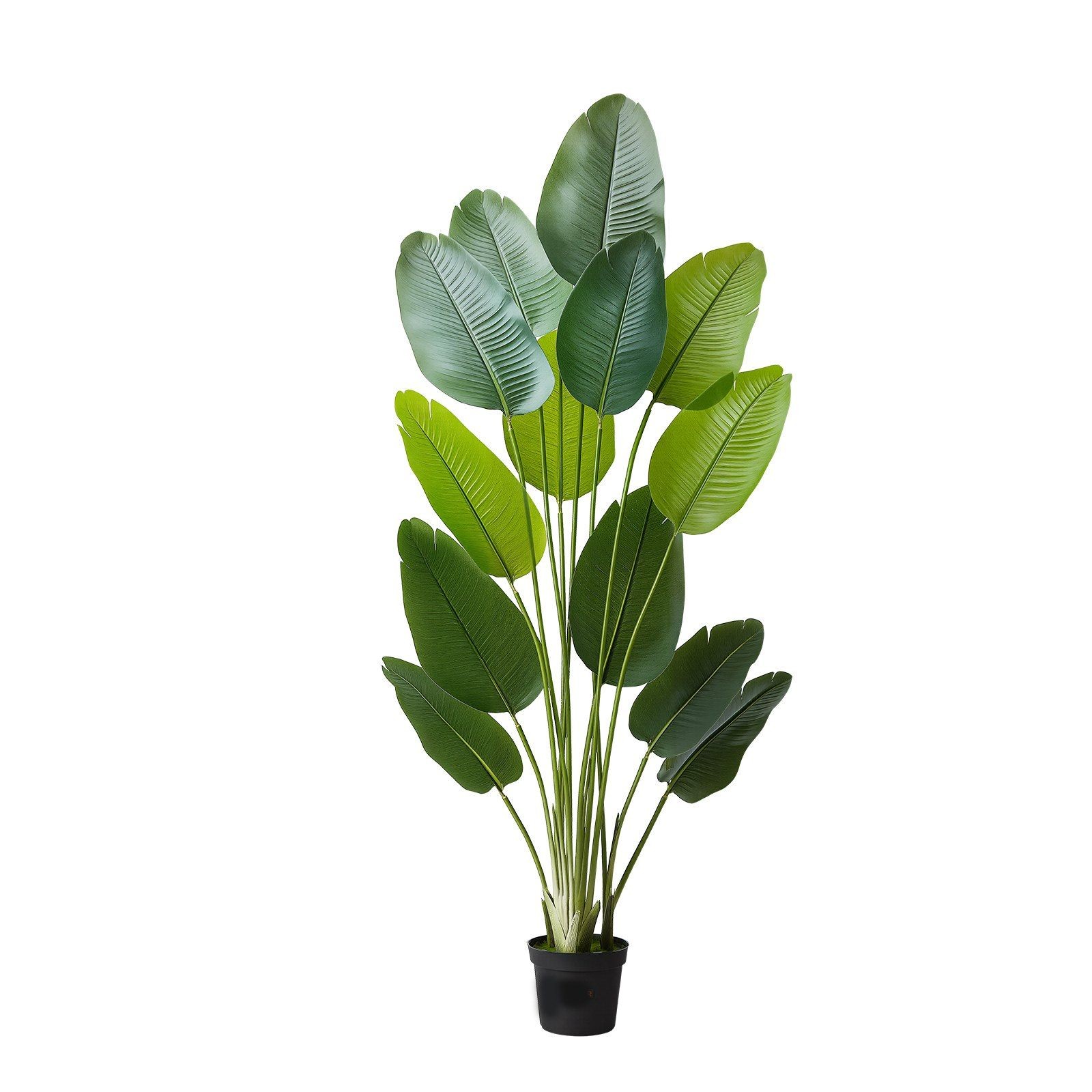 6ft Bird of Paradise Silk Tree – 13-Trunk Faux Plant, White Planter