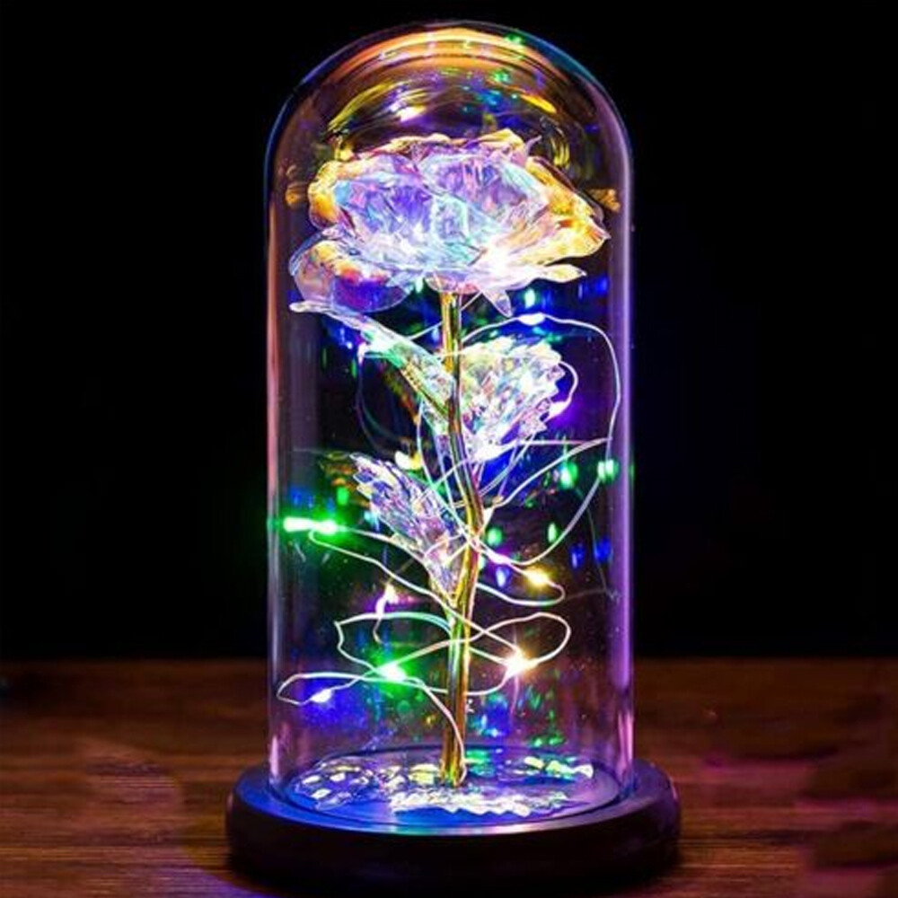 Preserved Forever Valentines Day Flower Gifts for Her Glass Light Up Rose Gifts