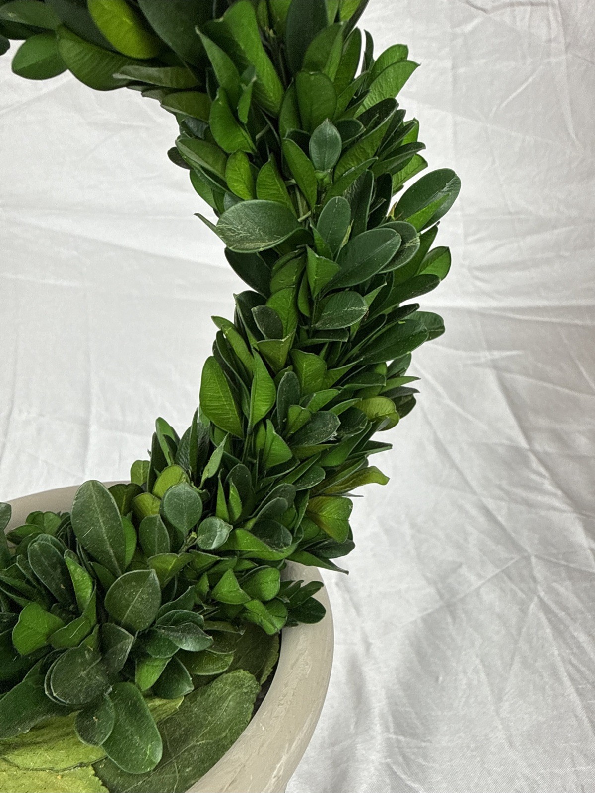 Artificial 12″ Green Boxwood Topiary Circular Wreath In Rustic Grey Ceramic Pot