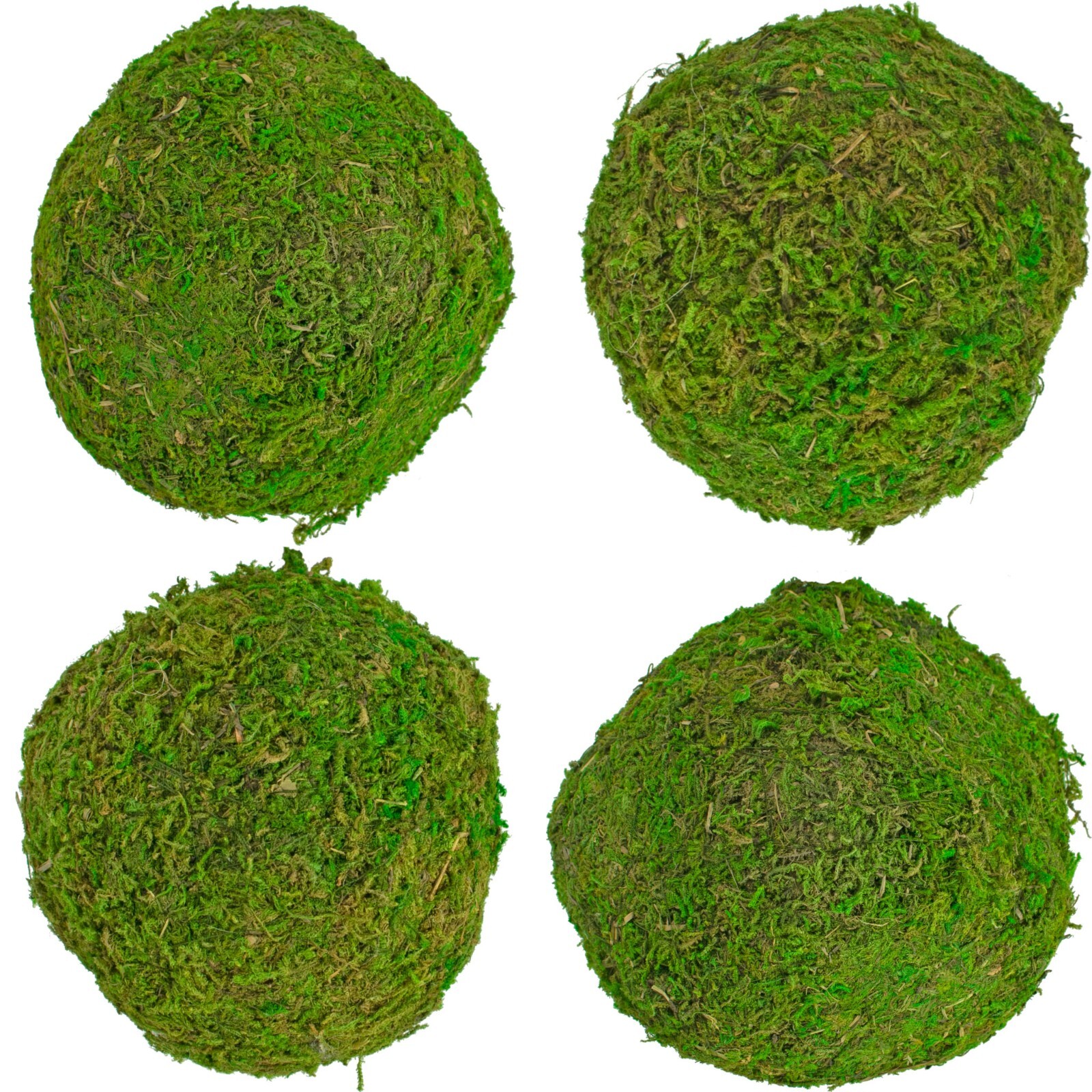 Decorative Moss Balls, Real Natural Home Decor, Accents, Centerpiece Bundle of 8