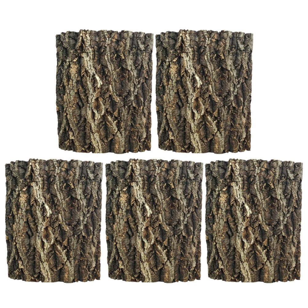 5Pcs Durable Cork Bark Tiles Natural Brown Reptile Climbing Decor for Terrariums