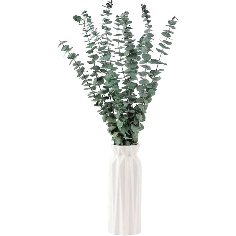 Natural Dried Eucalyptus Stems Aromatherapy Home Decor Wedding DIY Projects New
