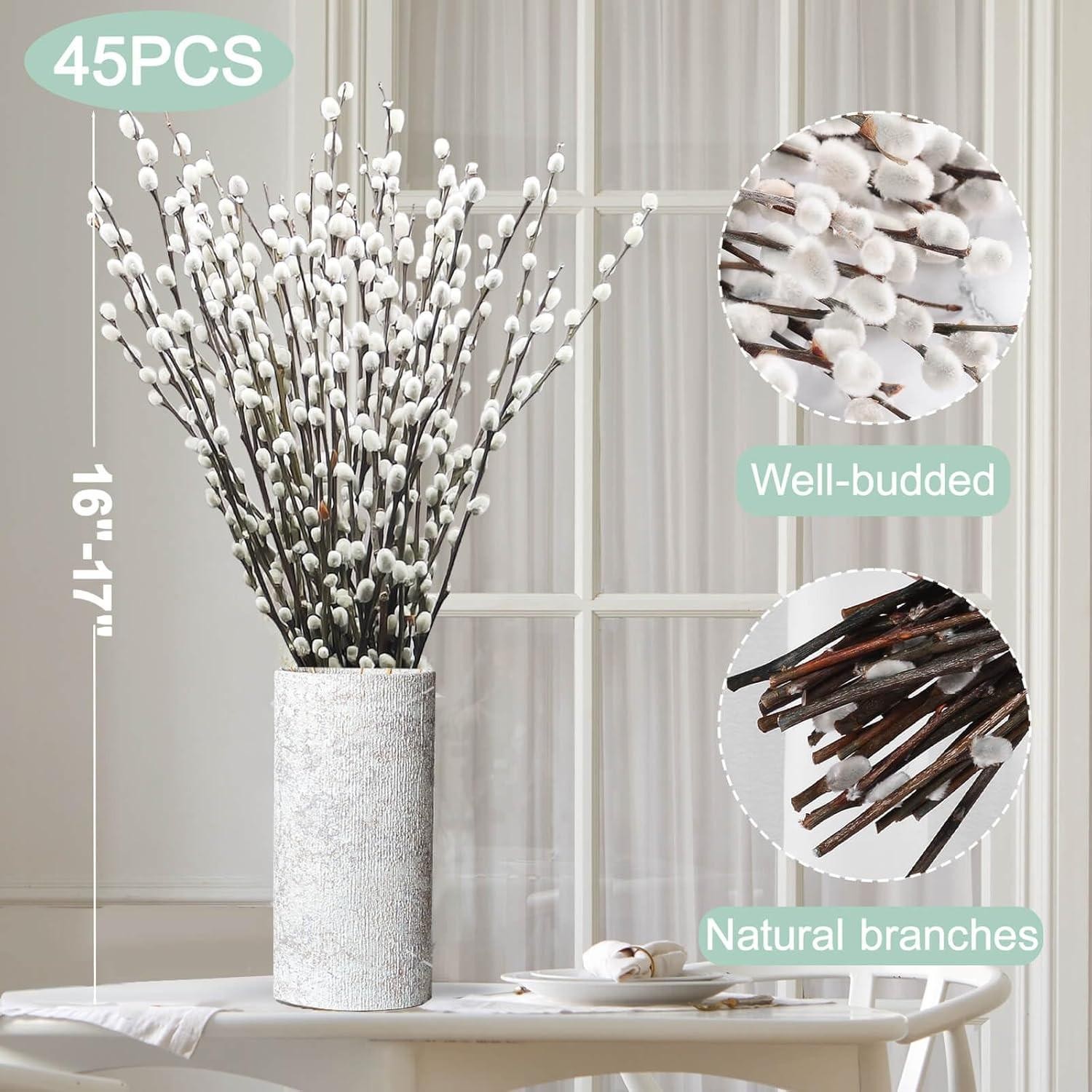 45 Stems 17＂real Dried Pussy Willow Branches for Vase，100% Natural Pussywillows