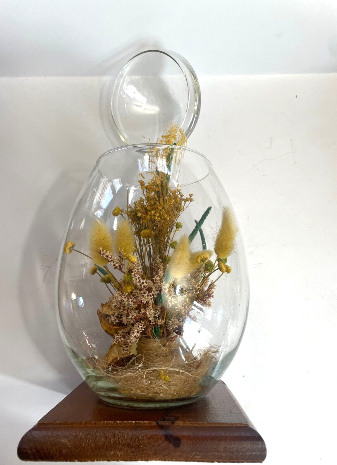 Vintage Glass Egg Terrarium with Dried Yellow Flowers, 1970s, H:10″ by W:5.5″