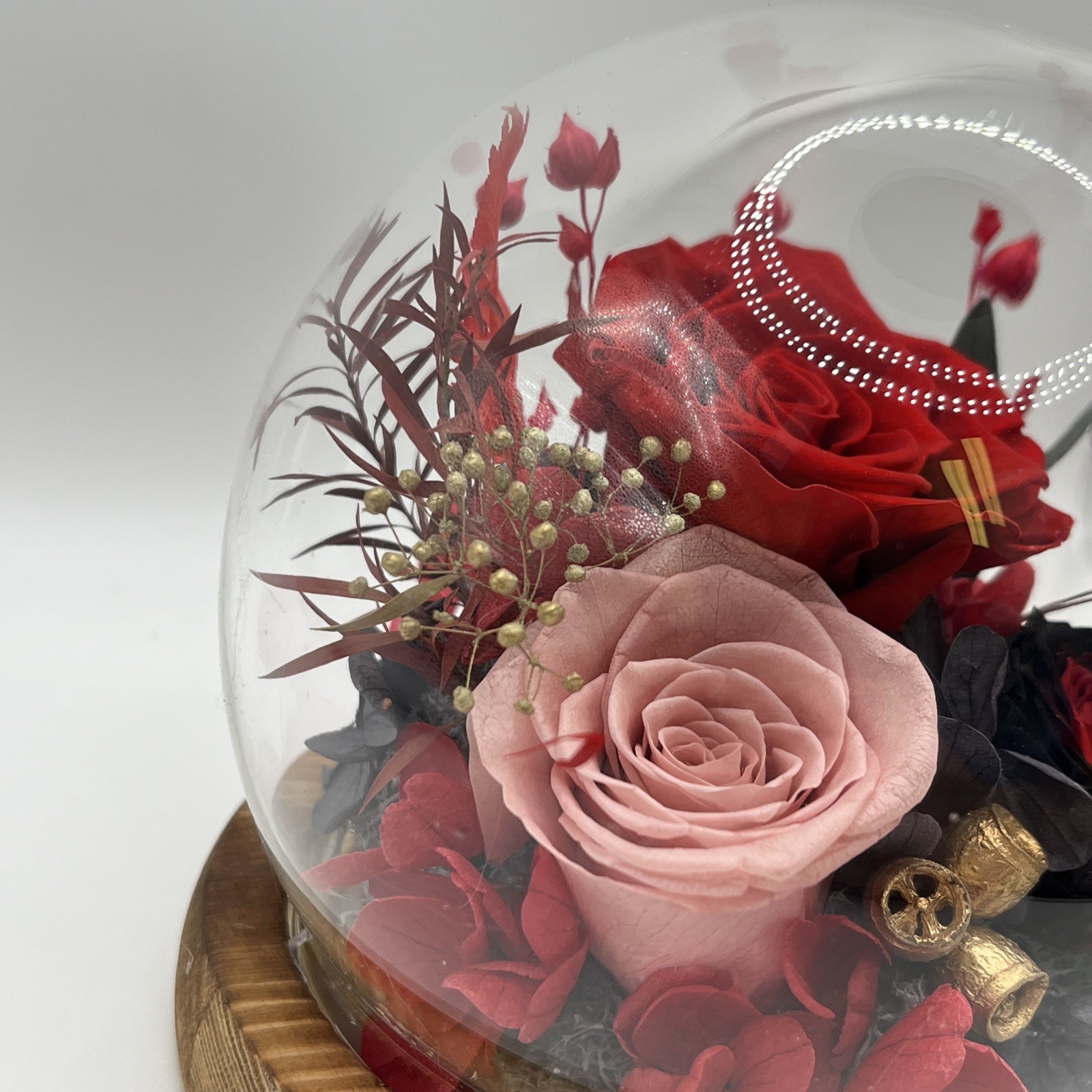 Preserved Flowers Roses in Glass Dome, Forever Flowers for Delivery Graclect New
