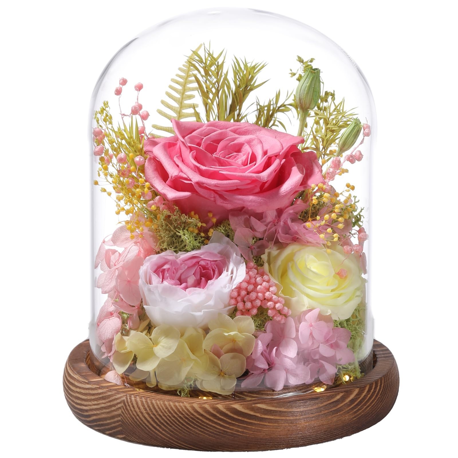 Preserved Pink Roses in Glass Dome with LED Light – Long Lasting Forever Flowers