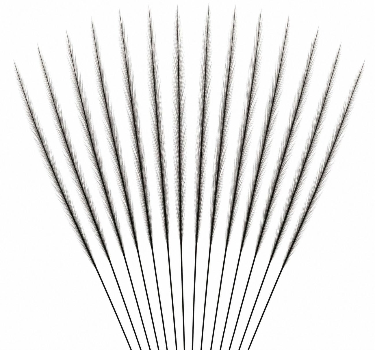 Black Pampas Grass Stems, 16 Artificial Wispy Faux Grass Stems, 31 Inch Tall Mod