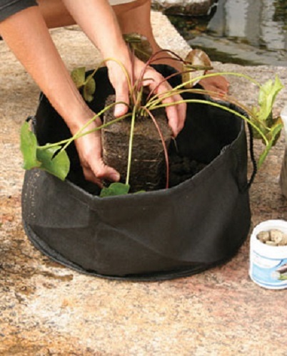 AQUASCAPE #98929 AQUATIC LILY PLANTER – FABRIC PLANT POT 14″ X 7″ – 2 PACK!!