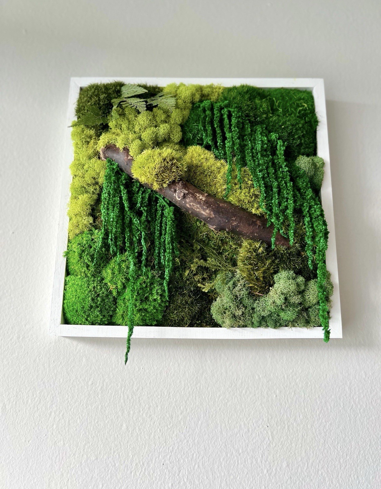 Nature & Moss Art -Wall Hanging Framed