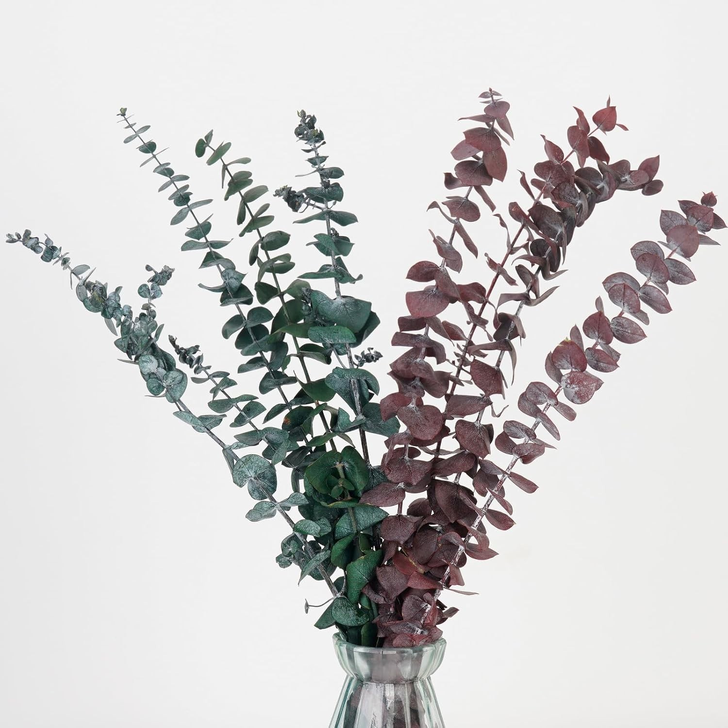 16 Pcs Real Dried Eucalyptus Stems, 17″ Natural Fresh Eucalyptus Branches for…