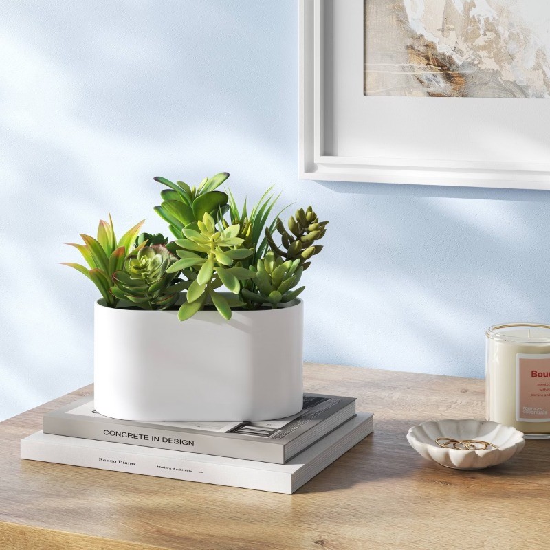 Succulent Arrangement in Long White Pot