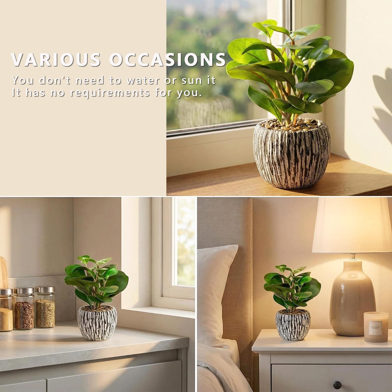 Realistic Small Fake Indoor Plant Artificial Ficus Black Cement Planter 9 Inch
