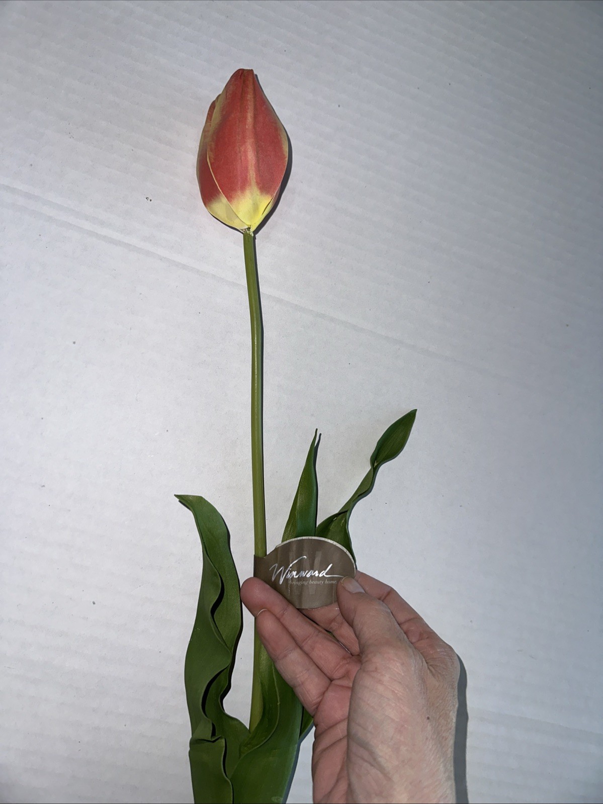 Winward Peach Tulip 23” Faux Florals NEW