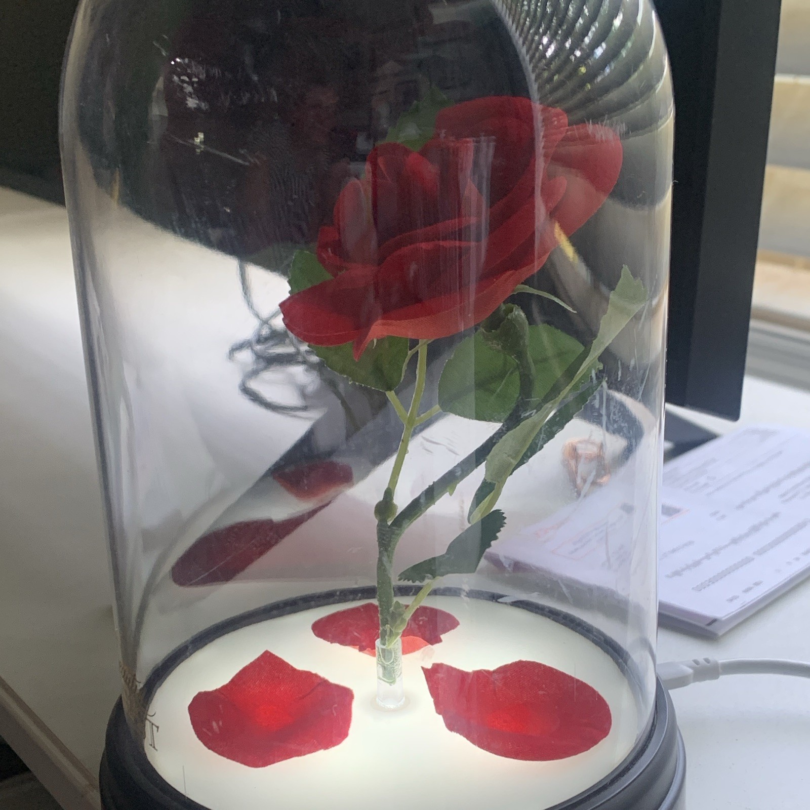 Artificial Red Rose in Clear Glass Dome w/ Black Base Beauty and the Beast Decor