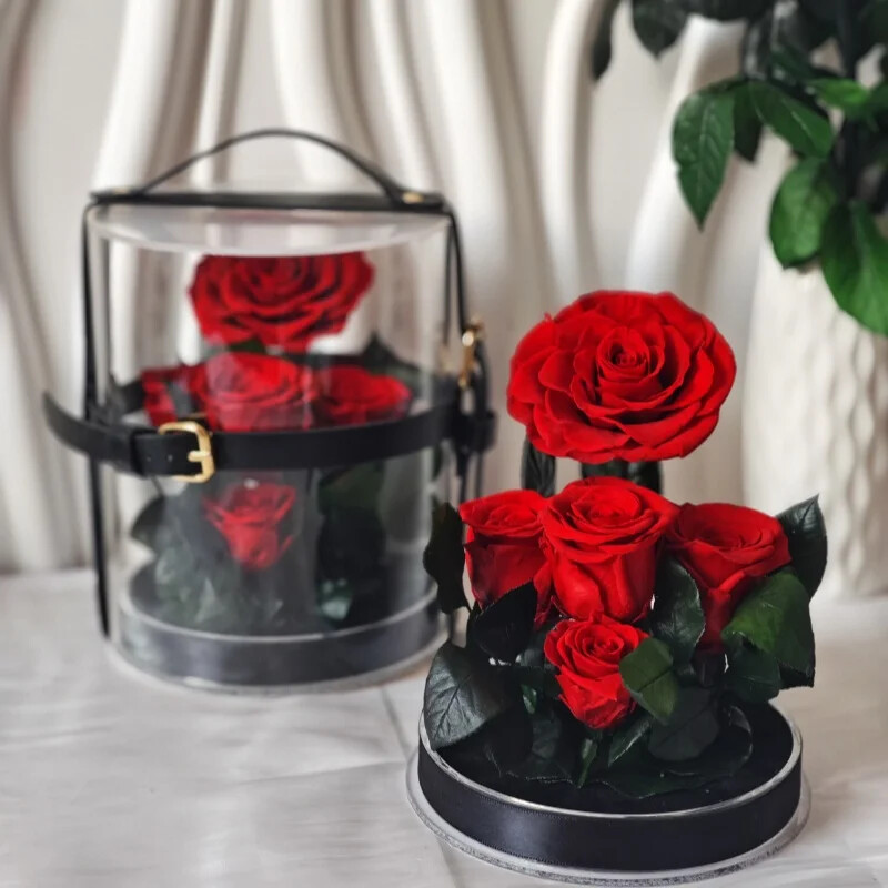 Eternal Red Rose in Secret Garden Acrylic Box – Preserved Flower Gift