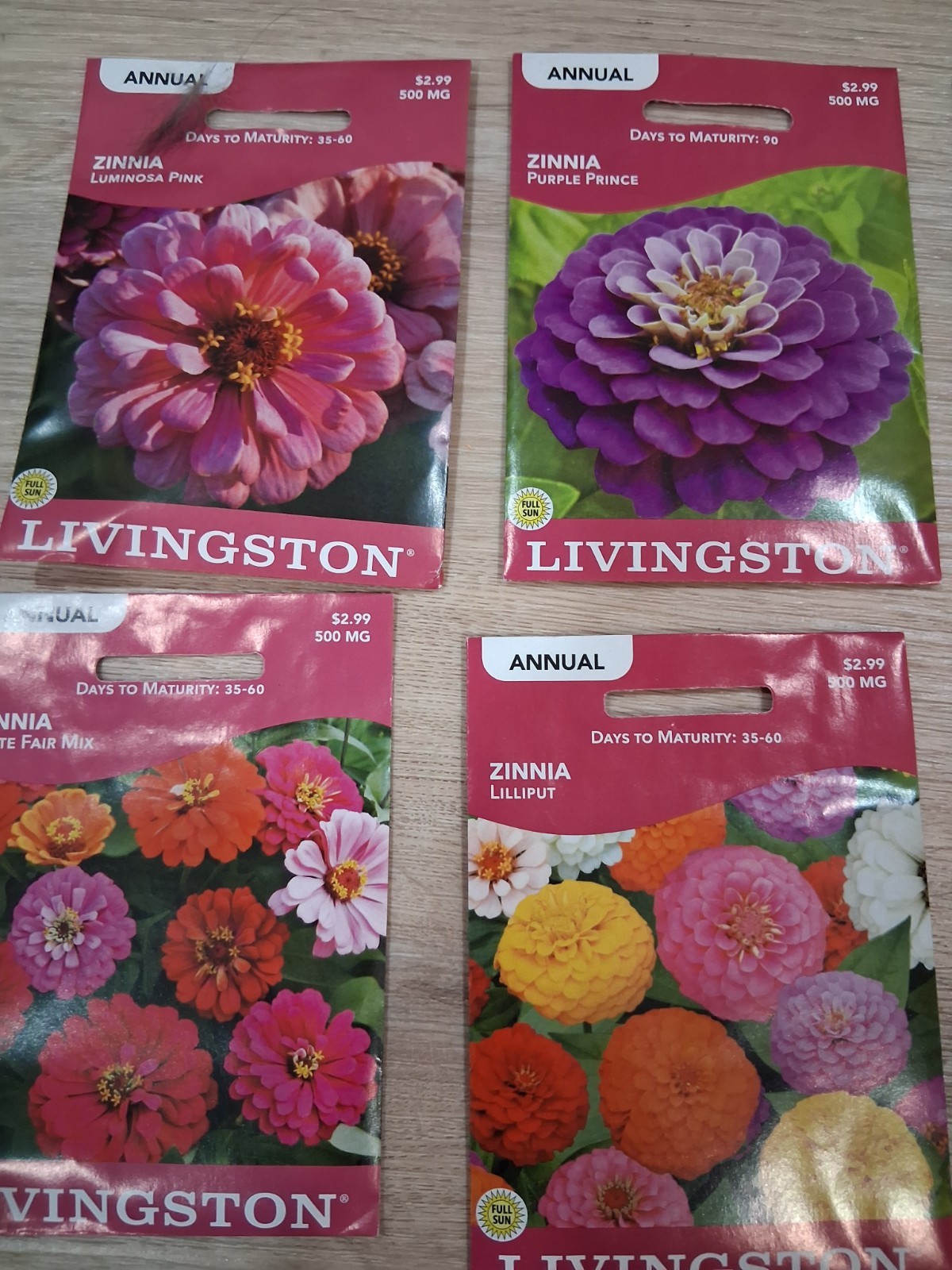Lot of Zinnia flowers