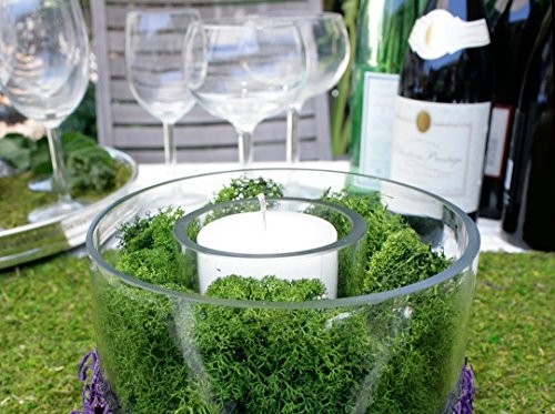 Preserved Reindeer Moss – Forest Green, 8oz (200 Cubic Inches) for Crafts & Deco