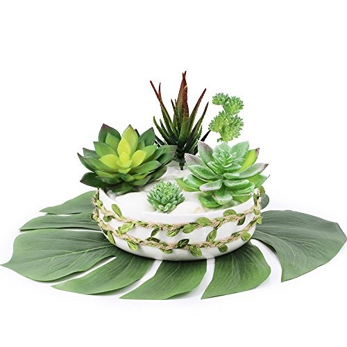 Supla 5 Pcs Assorted Artificial Succulents Plants Unpotted Small Green Cactus